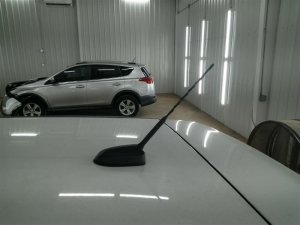 2013-2019 Ford Escape Red Antenna Base (Used OEM)