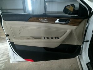 2015-2017 Hyundai Sonata Tan Door Interior Trim Panel - Front, Left (Driver) (Used OEM)