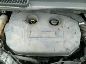 2013-2016 Ford Escape 1.6L Engine Cover (Used OEM)