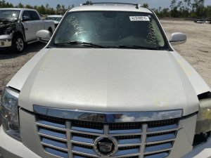 2007-2013 Chevrolet Avalanche White Antenna (Used OEM)