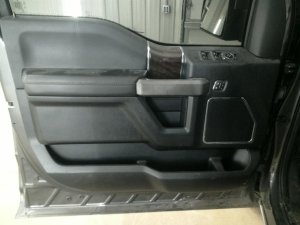2015-2020 Ford F-150 Black Door Interior Trim Panel - Front, Left (Driver) (Used OEM)