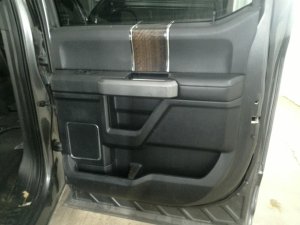 2015-2020 Ford F-150 Black Door Interior Trim Panel with Power Windows and Locks - Rear, Right (Passenger) (Used OEM)
