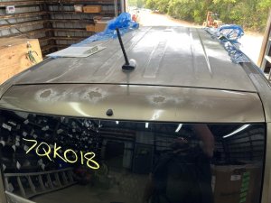 2010-2013 Kia Soul Green Roof Mounted Antenna (Used OEM)