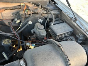 1997-1999 Ford F-150 Brake Master Cylinder with Cruise Control (Used OEM)