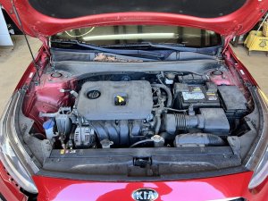 2019-2024 Kia Forte Brake Master Cylinder with Reservoir (Used OEM)