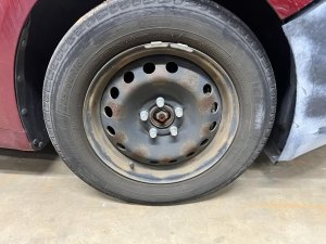 2012-2014 Ford Focus 16x6.5 Steel Wheel (Used OEM)