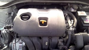 2019-2020 Hyundai Elantra 2.0L Engine Cover (Used OEM)