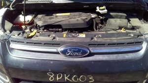 2013-2016 Ford Escape Black Upper Grille with Chrome Molding (Used OEM)