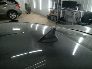 2010-2015 Chevrolet Camaro Black Antenna (Used OEM)