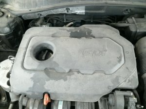 2015-2019 Hyundai Sonata 2.4L Engine Cover (Used OEM)