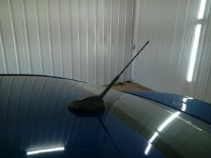 2012-2018 Ford Focus Gray Antenna Base (Used OEM)