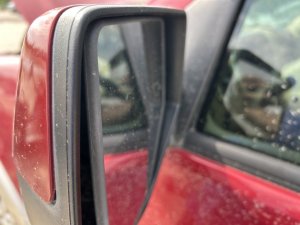 2007-2010 Ford Explorer Sport Trac Power Folding Door/Side View Mirror - Left (Driver) (Used OEM)