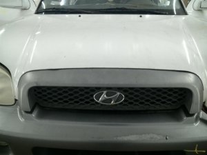 2001-2004 Hyundai Santa Fe Blue Upper Bumper Grille (Used OEM)