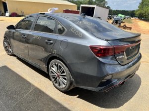 2019-2024 Kia Forte Gray Fuel Filler Door (Used OEM)