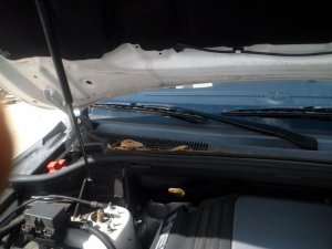 2011-2023 Dodge Durango Front Windshield Wiper Arm - Right (Passenger) (Used OEM)