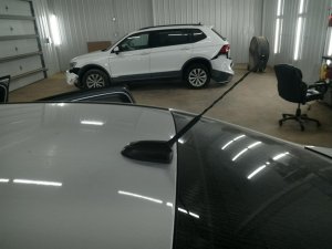 2015-2018 Ford Focus Silver Antenna Base (Used OEM)