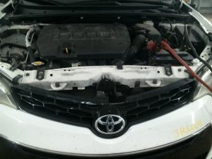 2014-2016 Toyota Corolla Upper Mesh Grille (Used OEM)