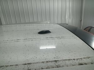 2011-2017 Honda Odyssey Black Roof Mounted Antenna (Used OEM)