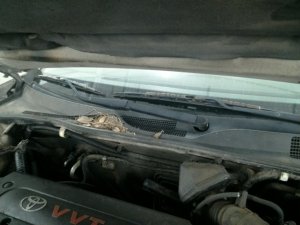 2002-2003 Lexus ES300 Windshield Wiper Arm - Right (Passenger) (Used OEM)