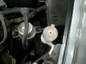 2004-2010 Volvo S40 Washer Fluid Reservoir without Headlamp Washers (Used OEM)