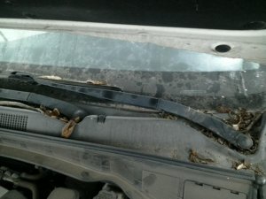 2019 Hyundai Santa Fe XL Windshield Wiper Arm - Right (Passenger) (Used OEM)