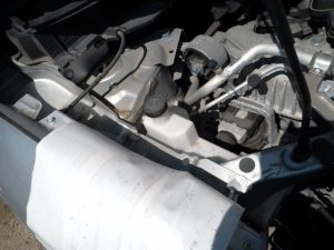 2016-2020 Nissan Rogue Engine Coolant Reservoir Assembly (Used OEM)