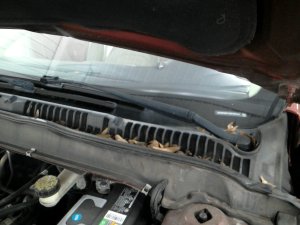 2013-2020 Ford Fusion Windshield Wiper Arm - Left (Driver) (Used OEM)