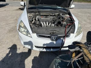 2003-2005 Honda Accord Upper Grille (Used OEM)