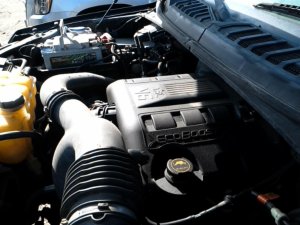 2015-2017 Ford Expedition Engine Cover (Used OEM)