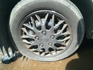 2004-2005 Honda Civic 15x6 14-Hole Steel Wheel (Used OEM)