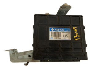 2001-2003 Hyundai Elantra Chassis Control Module (Used OEM)