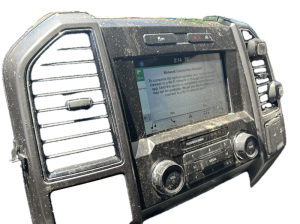 2015-2020 Ford F-150 Black Radio Surround Instrument Panel Bezel (Used OEM)