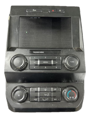 2019-2020 Ford F-150 Radio and Climate Control Panel (Used OEM)