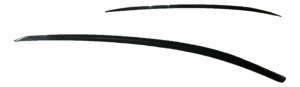 2008-2020 Dodge Grand Caravan Black Luggage Rack Side Rails (Used OEM)
