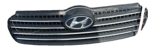 2006-2011 Hyundai Accent Blue Grille (Used OEM)