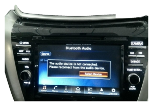 2015 Nissan Murano Bose Audio System Receiver Assembly (Used OEM)