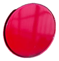 2009-2013 Kia Soul Red Fuel Filler Door (Used OEM)
