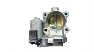 2016-2022 Chevrolet Spark Fuel Injection Throttle Body Assembly (Used OEM)