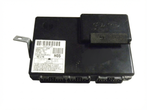 2007-2010 Hyundai Elantra Body Control Module (Used OEM)