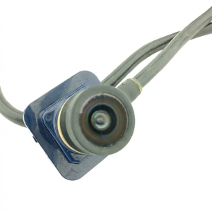2012-2015 Jaguar XK Rear View Camera (Used OEM)