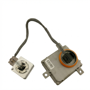 2009-2016 Audi A6 Xenon HID Headlamp Ballast with Igniter and Bulb (Used OEM)