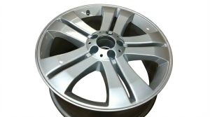 2007-2009 Mercedes-Benz GL450 Silver 19x8.5 10-Spoke Silver Painted Alloy Wheel (Used OEM)