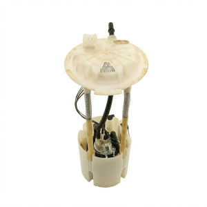 2009-2010 Dodge Ram 1500 Fuel Pump Assembly (Used OEM)