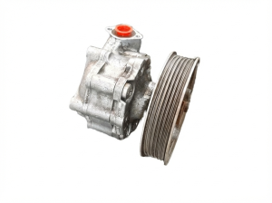 2013-2016 Porsche Cayenne Power Steering Pump and Motor Assembly (Used OEM)