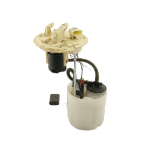 2021-2025 Ford F-150 Fuel Pump Assembly (Used OEM)