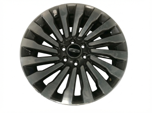 2018-2022 Lincoln Navigator 22x9.5 16-Spoke Machined Charcoal Alloy Wheel (Used OEM)