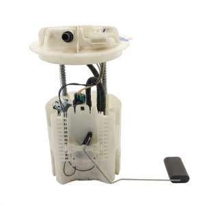 2011-2020 Dodge Grand Caravan Fuel Pump Assembly (Used OEM)