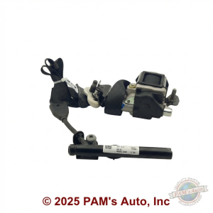 2015-2024 Ford Edge Black Seat Belt Assembly with Pretensioner - Front (Used OEM)