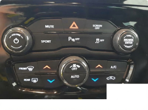 2017-2023 Chrysler 300 Automatic Temperature Control Assembly (Used OEM)