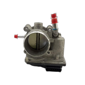 2015-2021 Hyundai Veloster Water Cooled Fuel Injection Throttle Body Assembly (Used OEM)